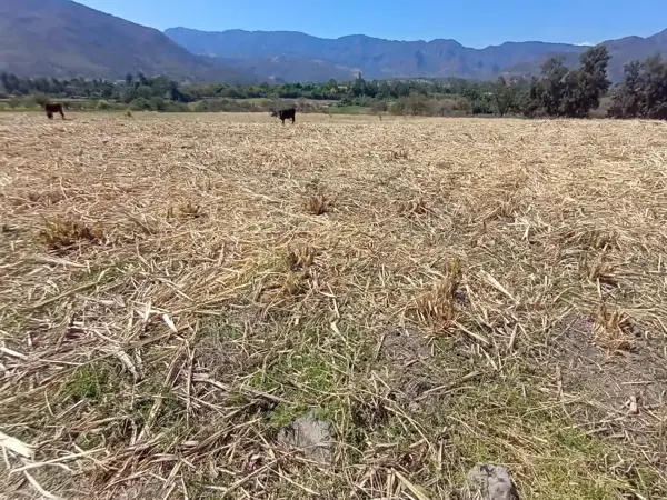 Terreno en venta en La Huerta, Malinalco — foto 2 de 6