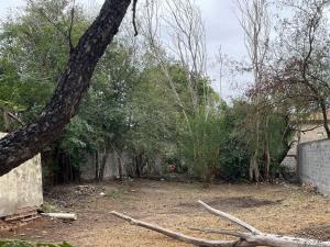 Terreno en venta en Piedras Negras Centro, Piedras Negras — foto 2 de 7