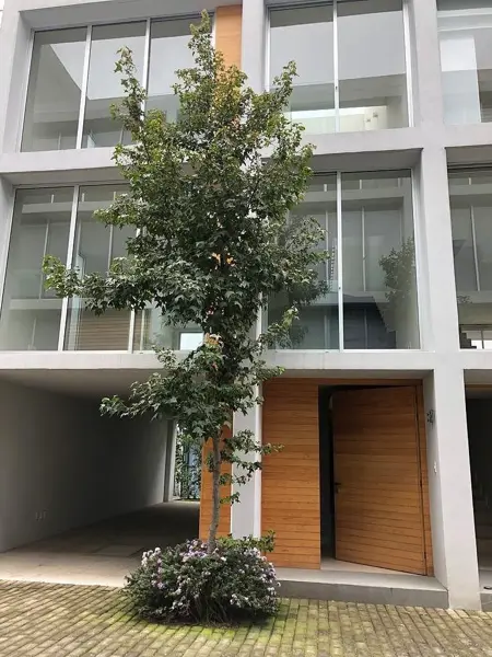 Casa en venta en Cuajimalpa, Cuajimalpa de Morelos — foto 2 de 21