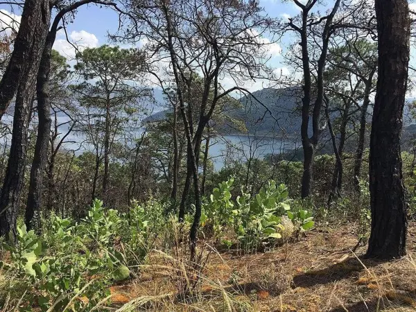Terreno en venta en El Cerrillo, Valle de Bravo — foto 3 de 7