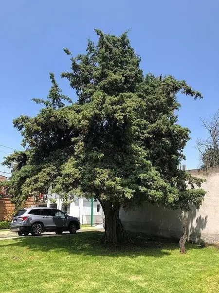 Terreno en venta en La Virgen, Metepec — foto 3 de 4