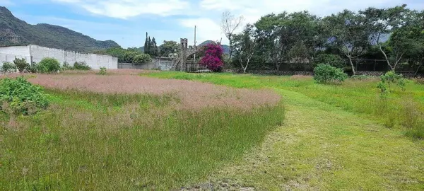 Venta Terreno - Tlayacapan morelos