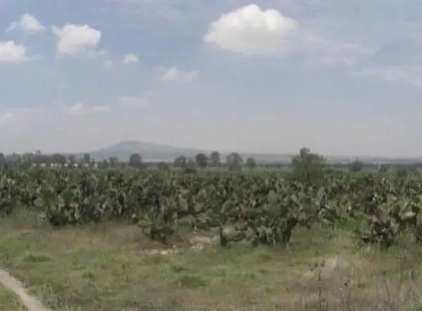 Terreno en venta en Tecámac de Felipe Villanueva Centro, Tecámac — foto 3 de 12