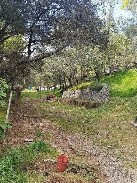 Terreno en venta en Contadero, Cuajimalpa de Morelos — foto 2 de 8