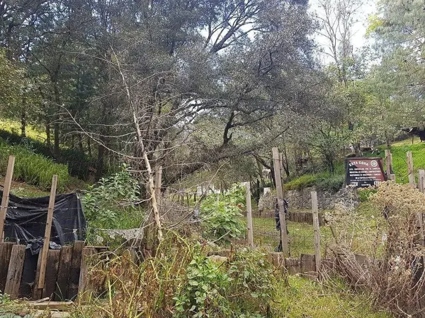 TERRENO EN VENTA EN CONTADERO CUAJIMALPA