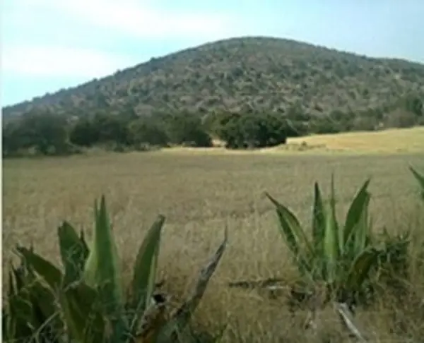 Terreno en venta en Calpulalpan Centro, Calpulalpan — foto 3 de 6