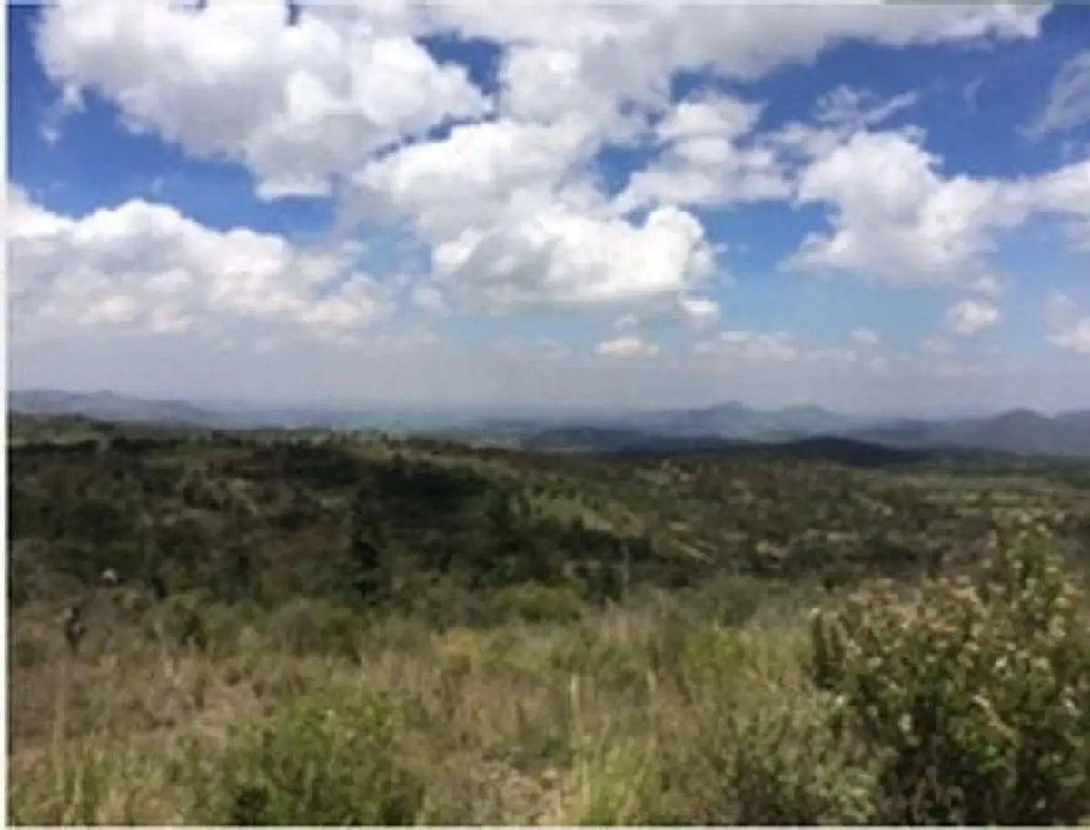 Terreno en venta en Calpulalpan Centro, Calpulalpan — foto 1 de 6
