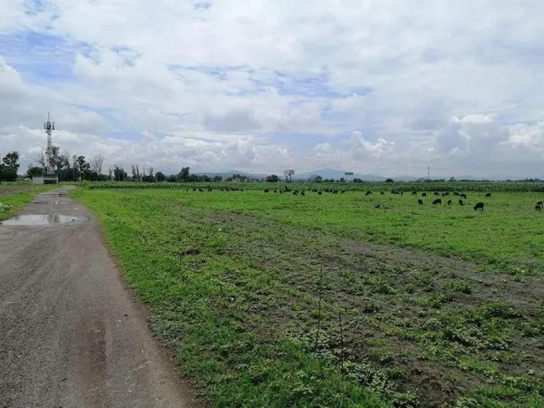 TERRENO EN VENTA EN TECAMAC ESTADO DE MEXICO