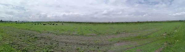 Terreno en venta en Ejido de Tecámac, Tecámac — foto 3 de 5