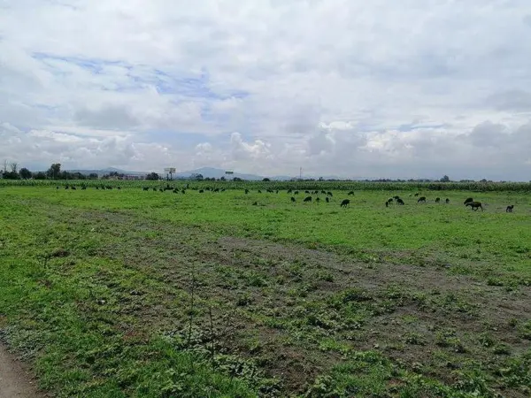 Terreno en venta en Ejido de Tecámac, Tecámac — foto 2 de 5