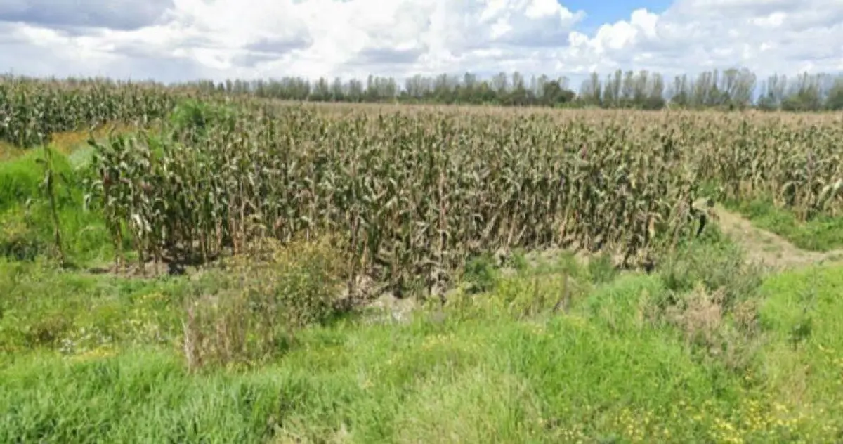 Terreno en venta en San Andres Ocotlan, Calimaya — foto 1 de 8