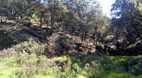 Terreno en venta en San Bartolome Coatepec, Huixquilucan — foto 2 de 4