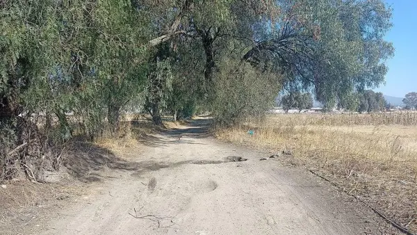Terreno en venta en San Antonio la Isla, San Antonio la Isla — foto 3 de 4