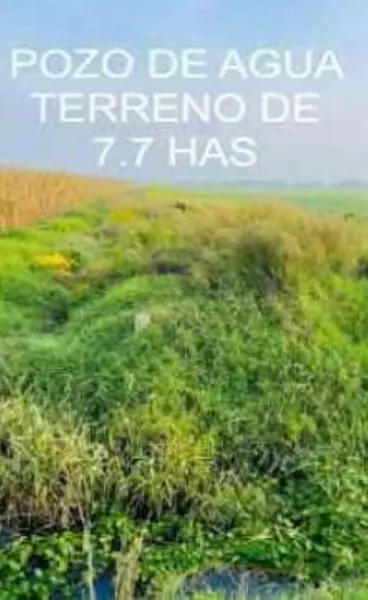 Terreno en venta en Santa Maria Rayon Centro, Rayón — foto 3 de 7