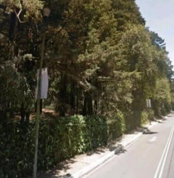 Terreno en venta en Contadero, Cuajimalpa de Morelos — foto 3 de 5