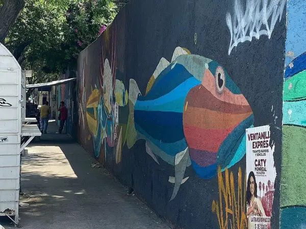Terreno en venta en Doctores, Cuauhtémoc — foto 3 de 6