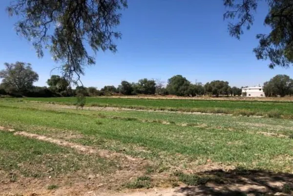 Terreno en venta en Santa María Maquixco, Teotihuacán — foto 2 de 7