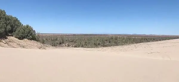 Terreno en venta en Nuevo Hermosillo, Hermosillo — foto 2 de 6