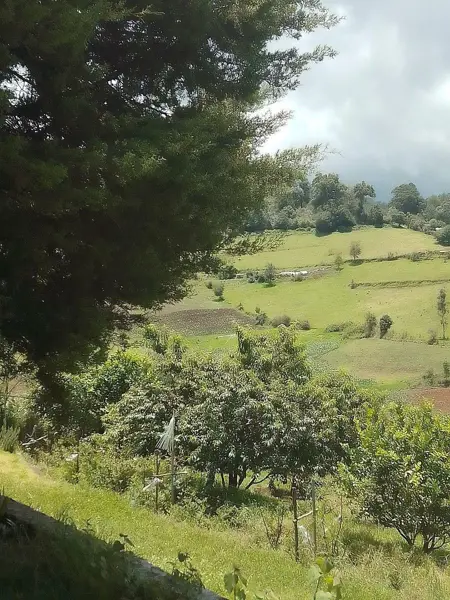 Terreno en venta en Valle de Bravo, Valle de Bravo — foto 2 de 22