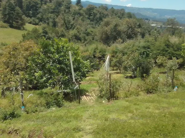 Terreno en venta en Valle de Bravo, Valle de Bravo — foto 3 de 22