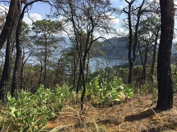 Terreno en venta en El Cerrillo, Valle de Bravo — foto 2 de 6