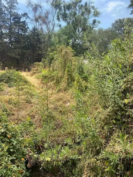 Terreno en venta en San Jeronimo Lidice, La Magdalena Contreras — foto 2 de 6