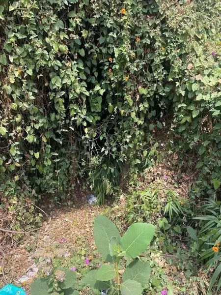 Terreno en venta en San Jeronimo Lidice, La Magdalena Contreras — foto 3 de 6