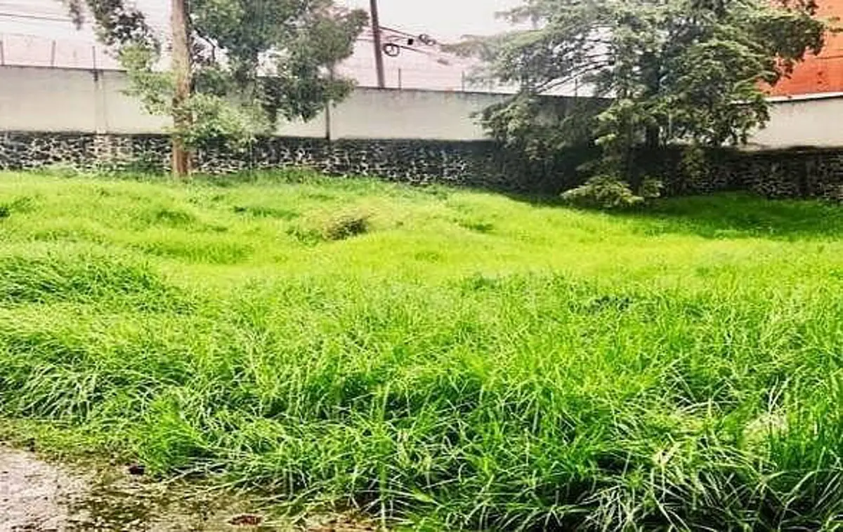 Terreno en venta en Contadero, Cuajimalpa de Morelos