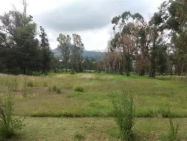 Terreno en venta en San Mateo Tezoquipan Miraflores, Chalco — foto 3 de 3