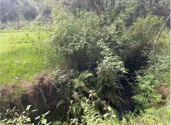 Terreno en venta en Los Saúcos, Valle de Bravo — foto 3 de 7
