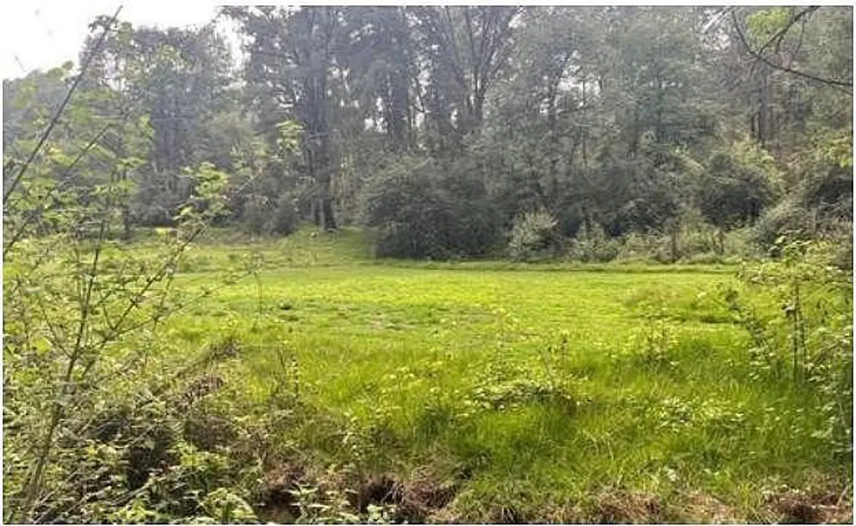 Terreno en venta en Los Saúcos, Valle de Bravo — foto 1 de 7