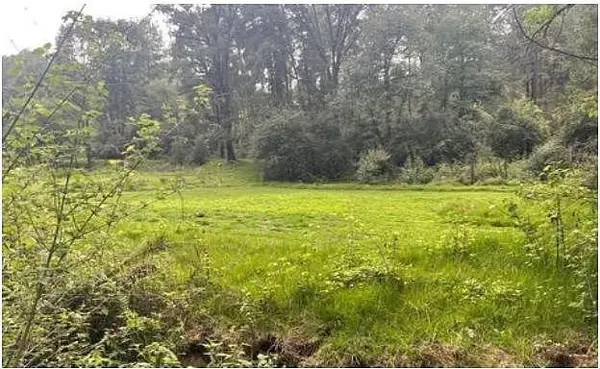 Terreno en Los Saúcos