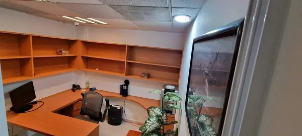 Oficina en renta en Chimalistac, Álvaro Obregón — foto 3 de 19