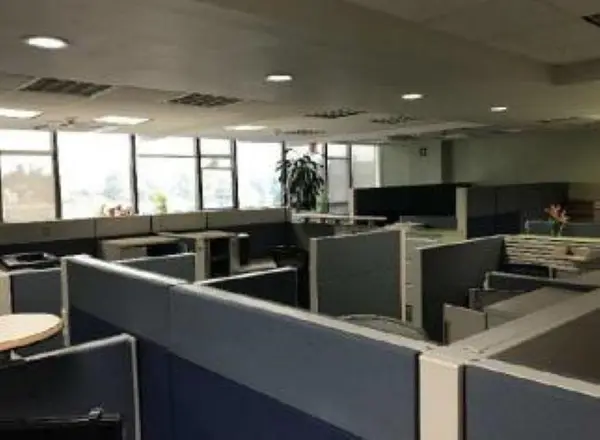 Oficina en renta en Lomas de Chapultepec I Sección, Miguel Hidalgo — foto 3 de 6