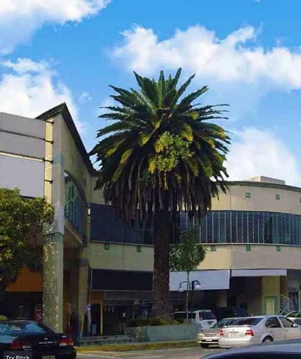 Local en renta en Reforma Social (Lomas de San Isidro), Naucalpan de Juárez — foto 1 de 3