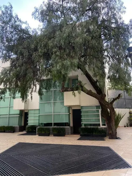 Casa en venta en Pueblo de Santa Ursula Coapa, Coyoacán — foto 2 de 14
