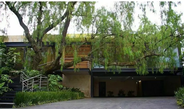 Casa en venta en Jardines del Pedregal, Álvaro Obregón — foto 2 de 14