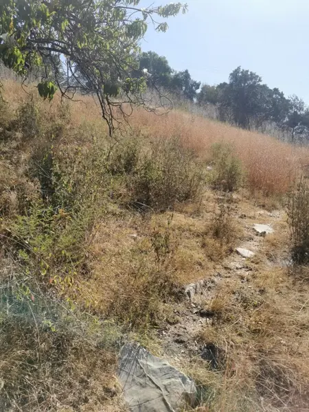 Venta de Terreno Rustico
