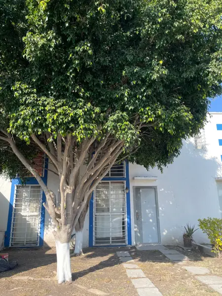 Casa en venta con recamara en planta baja Colinas del Sol