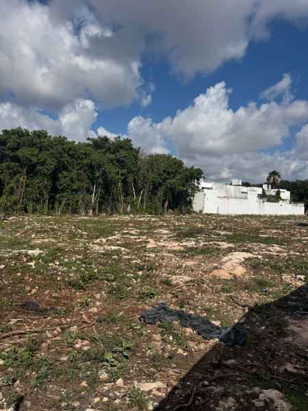 Terreno en venta en Supermanzana 313, Benito Juárez — foto 3 de 5