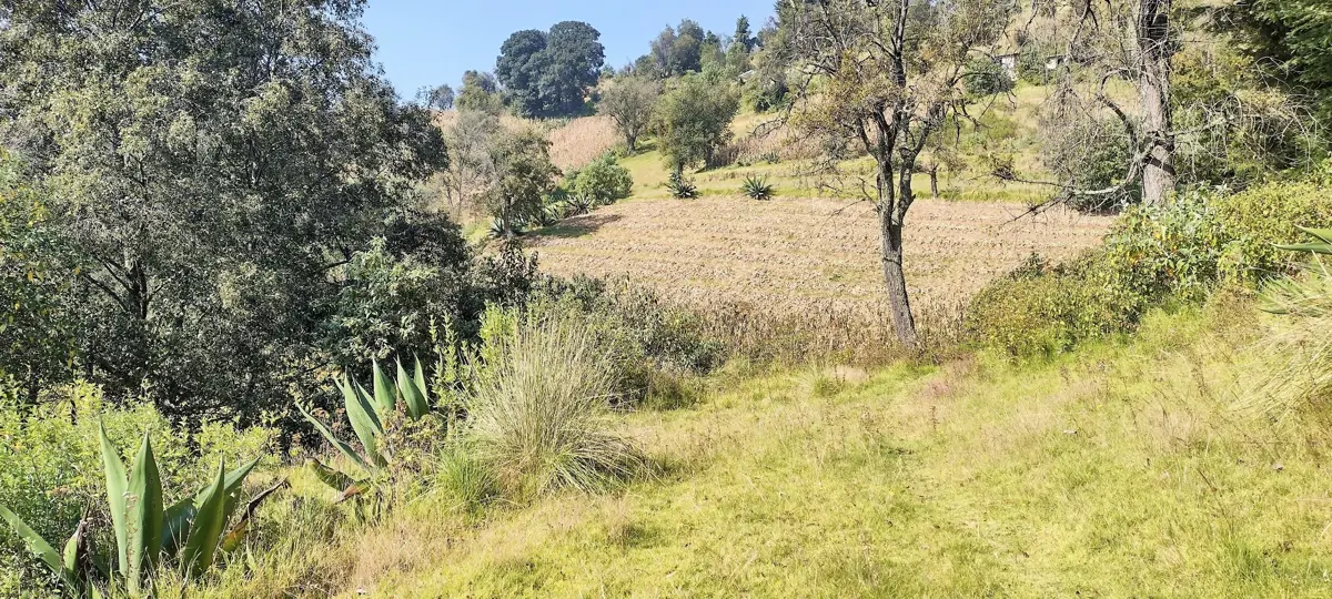 Terreno en venta en Solalpan 1ra. Sección, Temoaya — foto 1 de 9