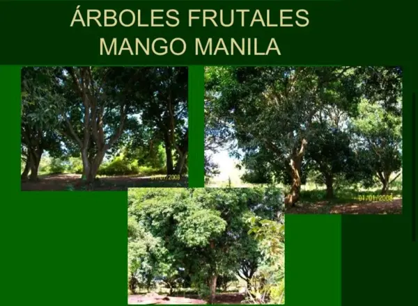 Finca-Rancho en venta en Rincón del Copite, Medellín de Bravo — foto 2 de 6