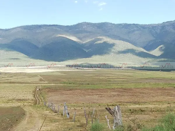 Terreno en venta en El Potosi, Galeana — foto 3 de 8