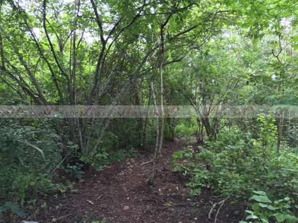 Terreno en venta en Temax, Temax — foto 3 de 8