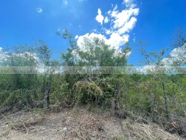 Terreno en venta en Loma Prieta, Montemorelos — foto 3 de 8
