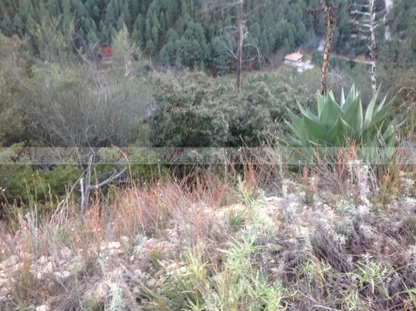 Terreno en venta en San Antonio de las Alazanas, Arteaga — foto 3 de 10