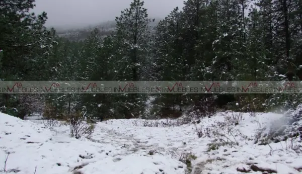 Terreno en venta en San Antonio de las Alazanas, Arteaga — foto 2 de 10