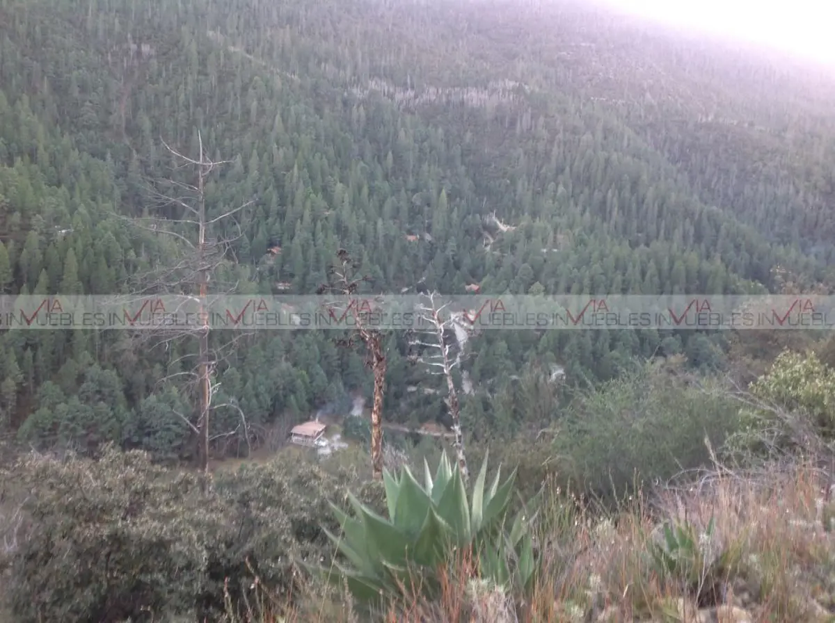 Terreno en venta en San Antonio de las Alazanas, Arteaga — foto 1 de 10