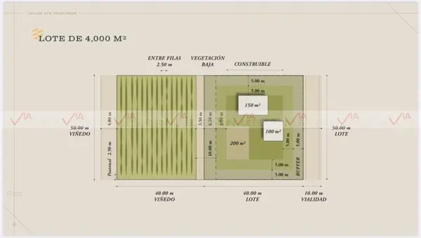 Terreno en venta en Arteaga Centro, Arteaga — foto 2 de 9