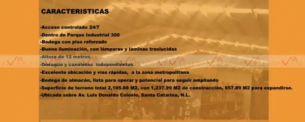 Bodega en venta en Parque 300, Santa Catarina — foto 2 de 20